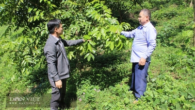 Typical poverty escape route for people in Khanh Khe Region III commune