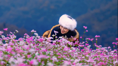 Z세대는 서로 산에 가서 구름을 사냥하고 메밀꽃을 구경하자고 권유한다.