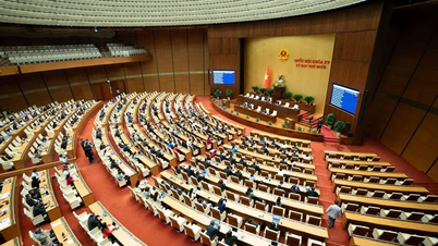 Diharapkan untuk melegalkan peraturan yang melarang penjualan rokok elektronik dan produk tembakau yang dipanaskan