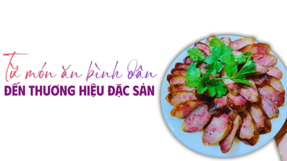 Від популярних страв до спеціалізованих брендів