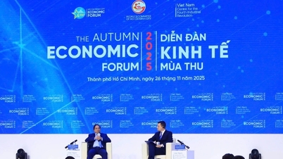 ভিয়েতনামের কৌশল নিয়ে আলোচনা করতে ডব্লিউইএফ পরিচালকের সাথে প্রধানমন্ত্রীর ৬০ মিনিটের কথা