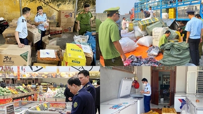 2026년 설 연휴 맞아 밀수, 무역 사기, 위조품 단속 강화