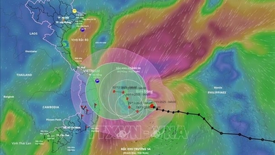 Lam Dong kıyı bölgeleri 15 numaralı fırtınaya proaktif bir şekilde müdahale ediyor
