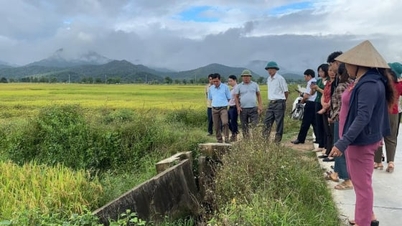 בטיחות סכר דין ביין מבטיחה מים לייצור חקלאי