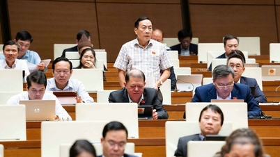 Делегати обговорюють механізми захисту та підтримки бізнесу в процесі інтеграції.