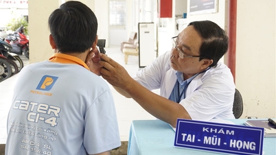 CDC Ca Mau: Okresowe badania lekarskie i choroby zawodowe dla ponad 200 pracowników i pracownic