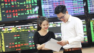 Secretos para obtener ganancias seguras con certificados de fondos