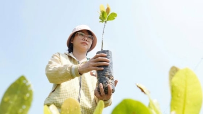 IAS - Vietnam tarımıyla bir asırlık gelişme