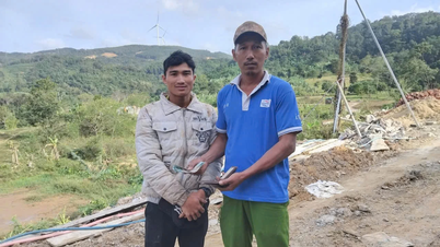 한 노동자는 주인에게 800만 VND 이상을 돌려주었습니다.