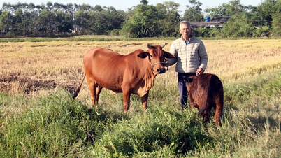 30 εργαζόμενοι της κοινότητας Dong Viet εκπαιδεύτηκαν στην κτηνοτροφία και την κτηνιατρική.