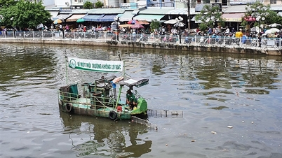 Emiterea planurilor de protecție a mediului și a estimărilor bugetului de stat