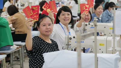 Yêu cầu báo cáo tiền lương, thưởng Tết trước ngày 25/12