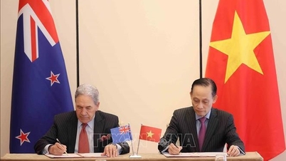 Vietnam og New Zealand enige om samarbeidsplan for diplomati for 2025–2030