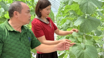Provinsiella lantbrukarföreningen: Följer med och ger omfattande stöd till medlemmar