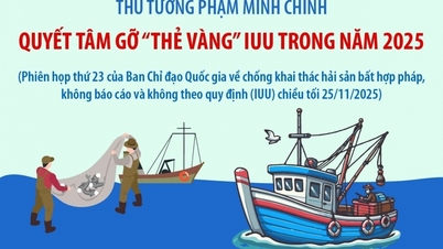 (Infographic) Thủ tướng Phạm Minh Chính: Quyết tâm gỡ “thẻ vàng” IUU trong năm 2025