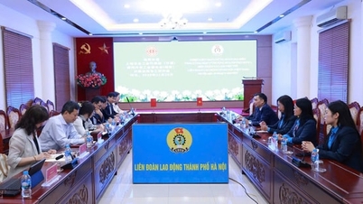 איגוד העובדים של העיר האנוי קיבל את משלחת איגוד העובדים הכללי של העיר שנגחאי