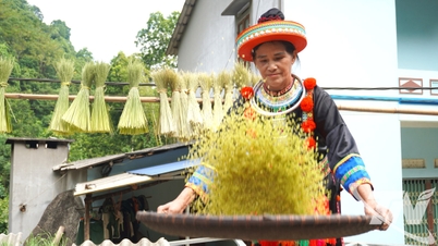 Perubahan karir menjadi pembuat serpihan beras hijau