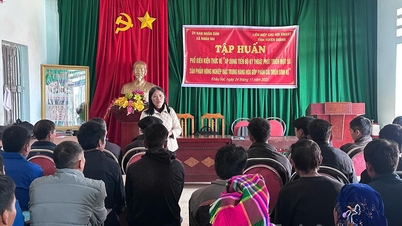 320 studenter fra Khau Vai kommune i Meo Vac ble opplært i teknikker for avl av griser og feting av storfe.