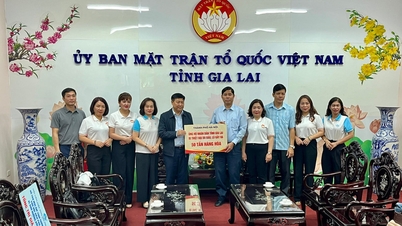 Het Vietnamese Vaderlandsfrontcomité van de stad Hanoi steunt Gia Lai met 50 ton goederen