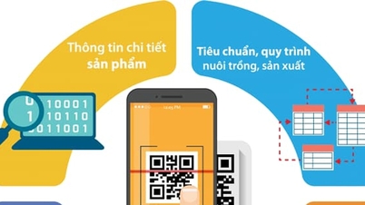 호치민시: 위험 수준이 높은 제품 및 상품의 원산지를 추적합니다.