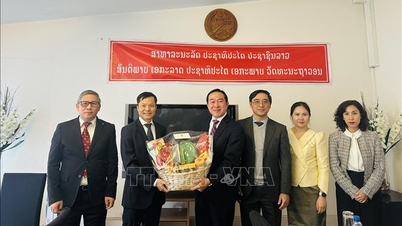 Зміцнення дружби між В'єтнамом та Лаосом у Європі