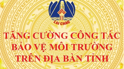 Consolidarea activităților de protecție a mediului în provincie