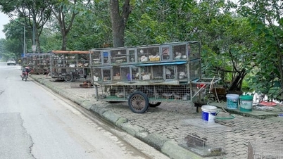 Hanoi kampányt indít a vadvilág és a vízi élővilág védelméért