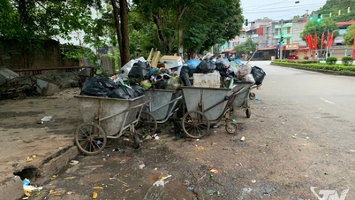 Yerleşim alanlarına yakın yerlerde yetersiz çöp toplama noktaları