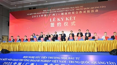 វៀតណាម និងក្វាងស៊ី ពង្រឹងកិច្ចសហប្រតិបត្តិការពាណិជ្ជកម្ម និងវិនិយោគ និងការតភ្ជាប់អាជីវកម្ម