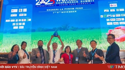 លើករបារសម្រាប់អង្ករវៀតណាម TECHPAL RICE ដែលជាម្ចាស់ជើងឯក "អង្ករល្អបំផុតរបស់ពិភពលោក 2025"