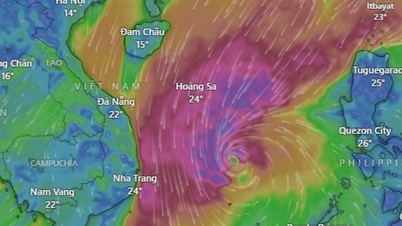 ১৫ নম্বর ঝড় (কোটো) সং তু তাই দ্বীপ থেকে ১৮০ কিলোমিটার দূরে, ঝড়টি ১৫ নম্বর স্তরে পৌঁছেছে।