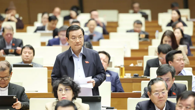 נעל את דלת הכניסה עם גז צחוק, עדכן באופן קבוע את רשימת החומרים האסורים