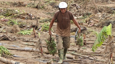 4개의 취약한 연결 고리로 인해 야채 가격이 폭풍과 홍수 이후 수준으로 상승했습니다.