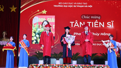 Așteptări pentru un progres în pregătirea doctorală