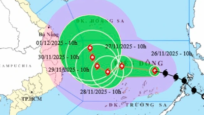 ¿En qué 6 localidades puede la tormenta No. 15 provocar fuertes lluvias?