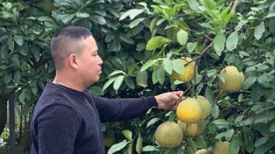 «Spesielle» bønder