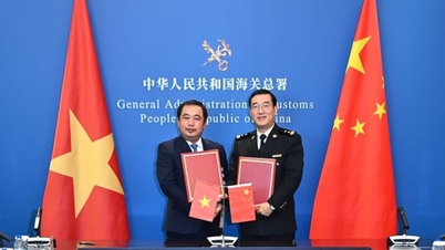 Semnarea Protocolului privind exportul de jackfruit proaspăt din Vietnam către China