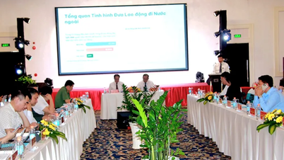 Поширення іміджу В'єтнаму та його народу на міжнародному ринку праці