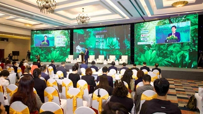 Ο πράσινος μετασχηματισμός ανοίγει νέες ευκαιρίες για τις επιχειρήσεις στην εποχή της βιωσιμότητας