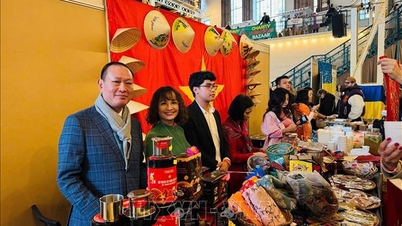 O Vietnã promove o espírito de voluntariado em feira de Natal na Eslováquia.