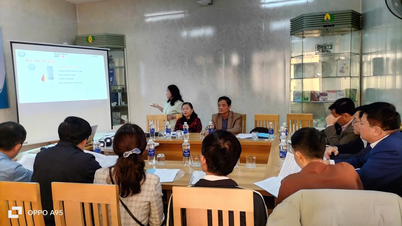 Quang Tri megvalósítja a RESPOND projektet