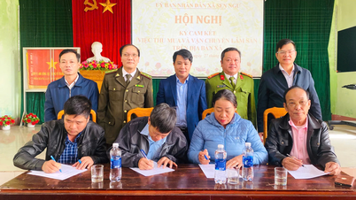 Terapkan peraturan yang ketat terhadap eksploitasi dan konsumsi hasil kehutanan.