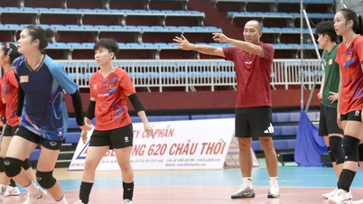 วอลเลย์บอลหญิงเวียดนาม: มุ่งสู่เหรียญทองซีเกมส์