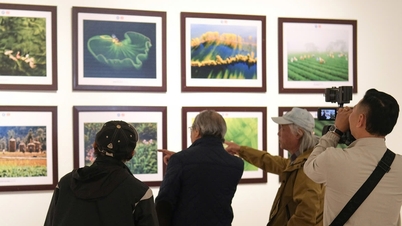 ความงดงามของเวียดนามและอินโดนีเซียผ่านภาพถ่าย