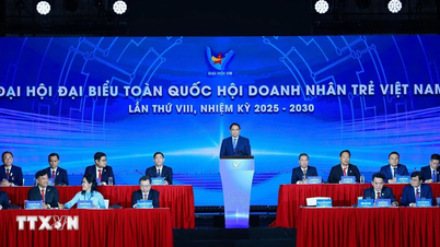 Primer Ministro: Jóvenes empresas y emprendedores implementan 6 pioneros, compiten por los 6 mejores