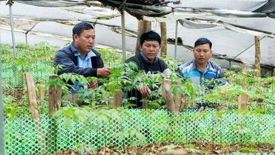 地域社会の力で森林を守る