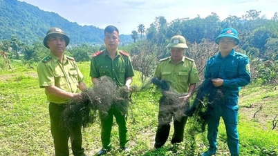 পাখিদের 'ফাঁদে পড়তে' দিও না