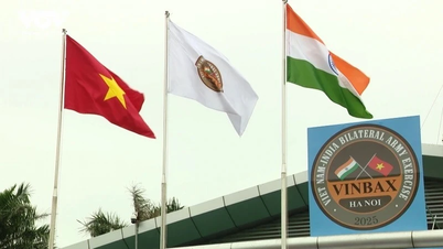 Vietnamesische und indische Armeen führen eine gemeinsame Feldübung zur Friedenssicherung durch