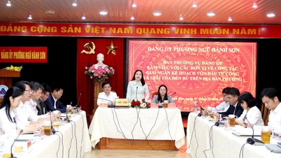 Capitalul de investiții publice alocat de Ngu Hanh Son Ward a ajuns doar la 41% din plan.