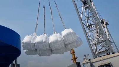 چاول کی قیمت آج 27 نومبر 2025: ملکی مارکیٹ مستحکم ہے۔